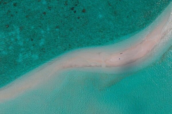 Reading the Ocean Floor: How Coastal Bathymetry Shapes the Daily Surf Window